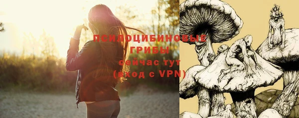 спиды Рославль